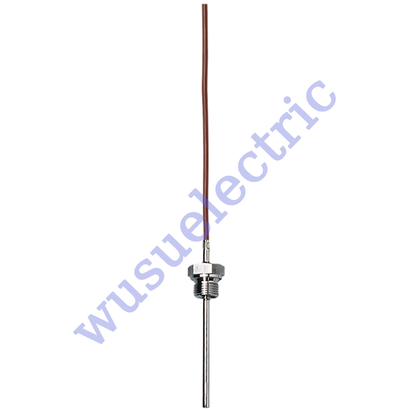 Screw-in RTD temperature probe 902050